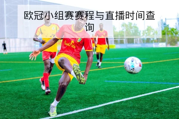 世俱杯赛程比分直播与小组积分实时查询